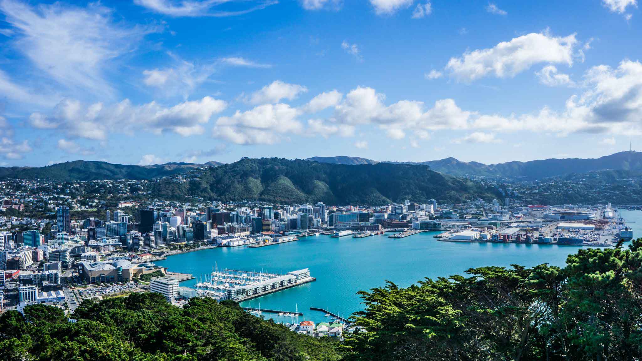 New Zealand Trip Recap