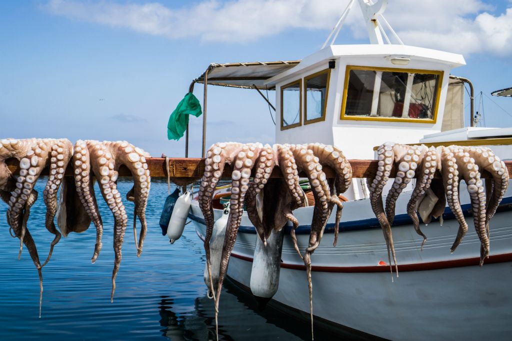 Greece Trip Recap