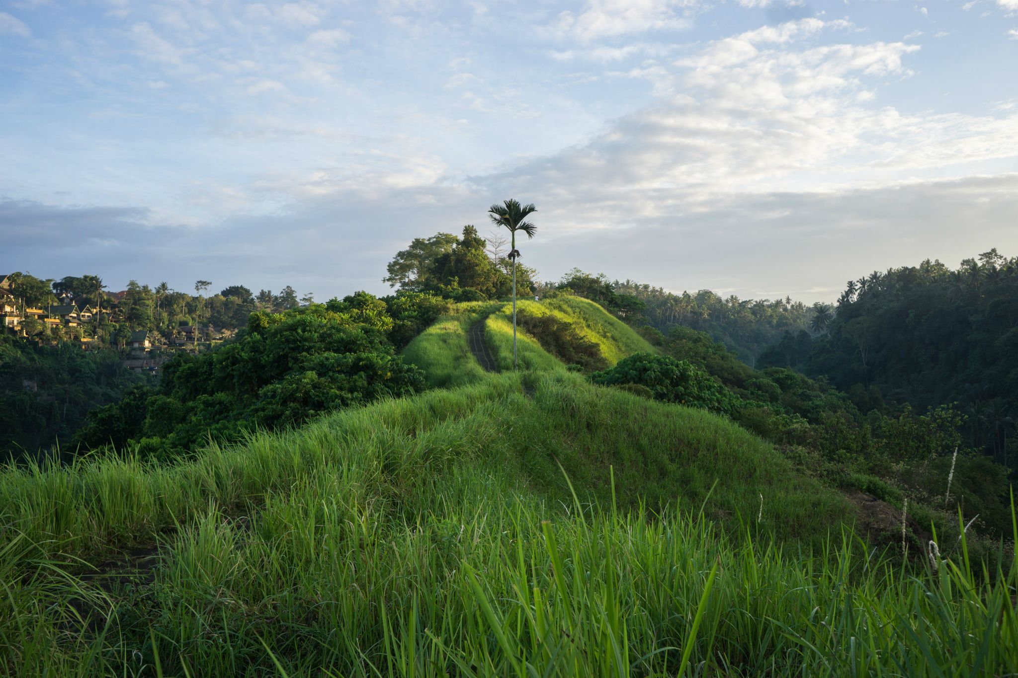 Campuhan Ridge Walk