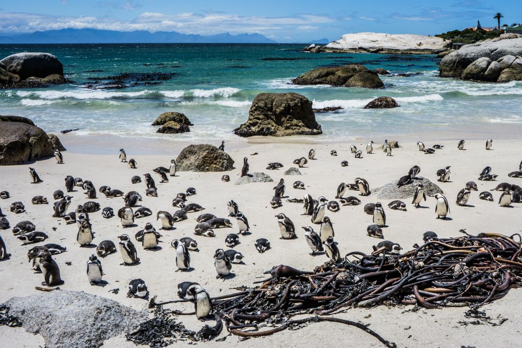 South Africa